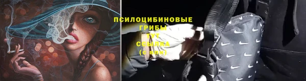 прущая мука Гусев